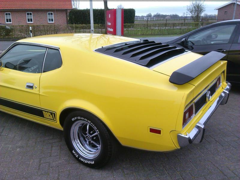 1971 1973 Mustang Fastback Rear Window Louver Kit