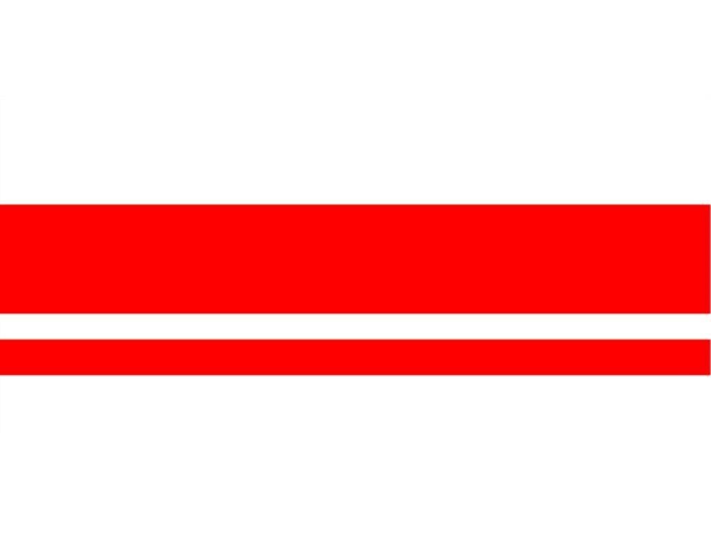 Rare Spares RS-BD441Z Ford Falcon XT Falcon GT Sedan Reflective Decal ...