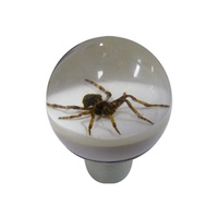 Universal Gear Knob - Barn Spider