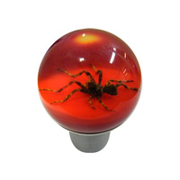 Universal Gear Knob - Barn Spider