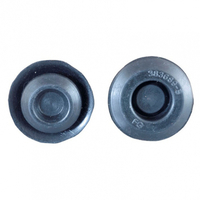 1979-04 Cowl Rubber Plugs