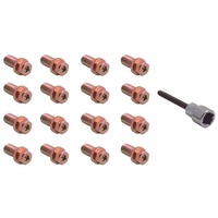 Extractor Bolts 3/8-16 x 3/4 Inch Allen Head set 16