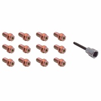 Extractor Bolts 3/8-16 x 3/4 Inch Allen Head set 12