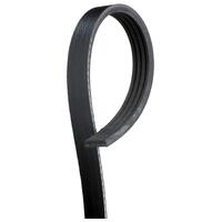 2003 - 2008 Smart Fortwo Alternator Drive Belt