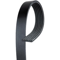 1982 - 1987 Mustang Drive Belt 5.0 with A/C
