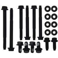 1970 Mustang/Cougar 302/351 Engine Mounting Hardware Kit
