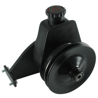 Borgeson Power Steering Pump, Pulley & Bracket Kit Mustang 200 250 6 Cylinder