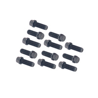 Mr Gasket Exhaust Header (Extractor) Bolts - 12