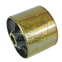 Rear Trailing Arm Bush (Falcon ED 4.0L I6)