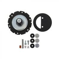 1968 - 1971 Mustang Carter Fuel Pump Rebuild Kit - Boss 302 429 428 PI 428 CJ 429 SCJ