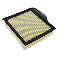 2010 - 2014 Mustang Air Cleaner Element