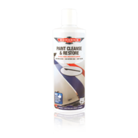 Paint Cleanse and Restore