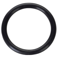 1961 - 1966 Thunderbird Fuel Filler Neck to Tank O Ring