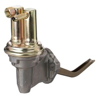 1966 - 1973 Mustang Fuel Pump (289/302/351W)
