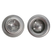 1964 - 1969 Mustang Data Plate Rivets - Pair