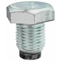 Ford Magnetic Oil Pan Drain Plug 1/2 - 20 289 302 351