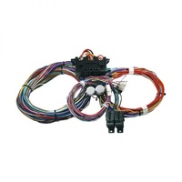 Universal 20 Circuit Wiring Harness
