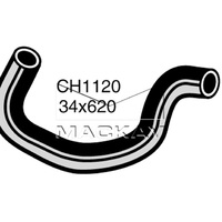 Radiator Hose - Lower (Nissan 200B 810 2.0L I4)