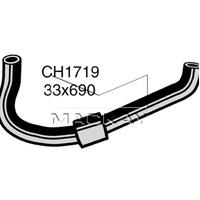 Radiator Hose - Lower (Express SH 2.4L I4)