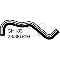 Radiator Hose - Lower (Sonata 3.0L V6)