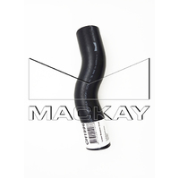Radiator Hose - Lower (Rodeo TF 3.0L I4 Turbo)