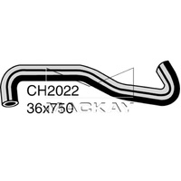 Radiator Hose - Lower (Tarago TCR10R 2.4L I4)