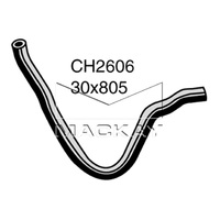 Radiator Hose - Lower (Accord CD 2.2L I4 Manual)
