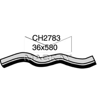 Radiator Hose - Lower (Frontera MX 2.2L I4)