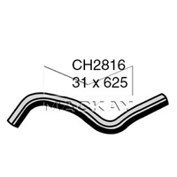 Radiator Hose - Lower (Hyundai COUPE RD 2.0L I4)