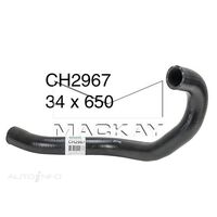 Radiator Hose - Lower (Express SJ 2.4L I4)