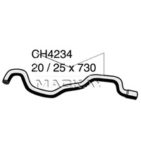 Radiator Hose - Bottom Radiator to Return Hose (BMW 520i E39 M52,B25,B28,M51D25 suits Cold Climate Version)
