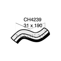 Radiator Hose - Lower (Mini Cooper R50 1.6L I4)