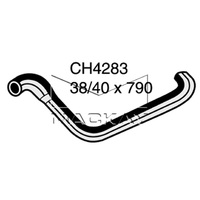 Radiator Hose - Lower (Jaguar XK8 X100 4.0L V8)