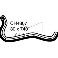 Radiator Hose - Lower (Civic FD 2.0L I4)