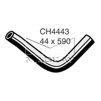 Radiator Hose - Lower (Jaguar XJS XJ40 3.6L I6)