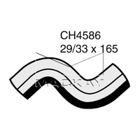 Radiator Hose - Lower (Viva JF 1.8L I4)