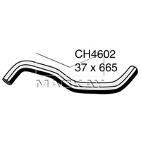 Top Radiator Hose (Mustang 4.6L 281ci V8)