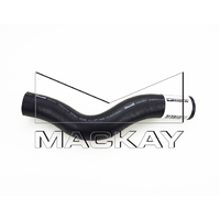 Radiator Hose - Upper (Elantra XD 2.0L I4)