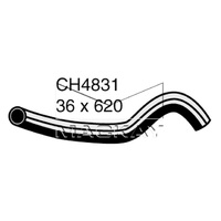 Radiator Hose - Lower (Lexus IS250 GSE20R 2.5L V6)