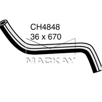 Radiator Hose - Lower (Lexus SC400 UZZ30R 4.0L V8)
