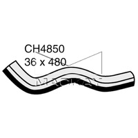 Radiator Hose - Lower (Lexus LS460 USF40R 4.6L V8)