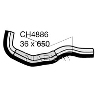 Radiator Hose - Lower (Lexus GS300 JZS160R 3.0L I6)