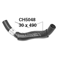 Top Radiator Hose (Chevrolet/GMC Trailblazer 6.0L V8)