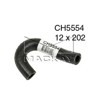 Engine By Pass Hose (Accord CL 2.4L I4)
