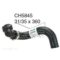 Radiator Hose - Lower (Hyundai i20 PB 1.4L I4)