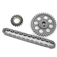 Timing Chain Set (302C, 351C)