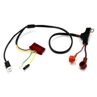 1971 Mustang Alternator Harness (with Instruments)