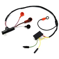 1971 Mustang Alternator Harness (without Instruments)