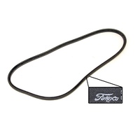 Alternator Belt (1972 - 1973 302, 351C with Power Steering or A/C)