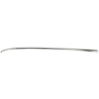 FB Rr window mldg upper